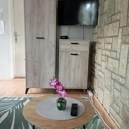Privatni Smestaj Tesevic Zlatibor Exterior photo