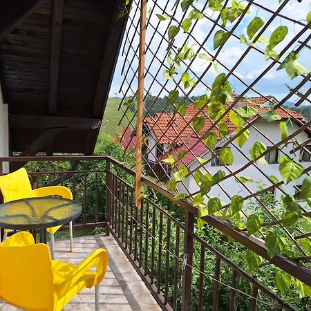 Privatni Smestaj Tesevic Zlatibor Exterior photo