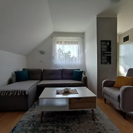 Privatni Smestaj Tesevic Zlatibor Room photo