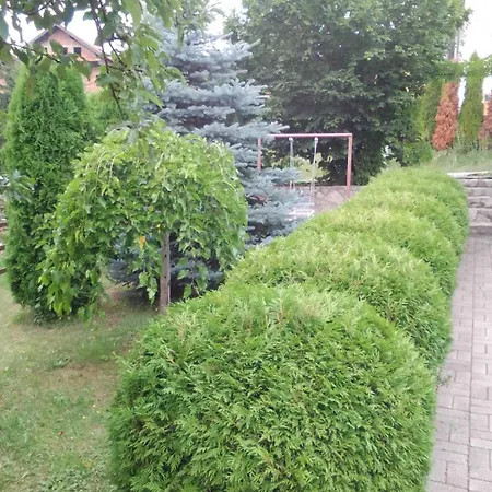 Privatni Smestaj Tesevic Zlatibor Exterior photo