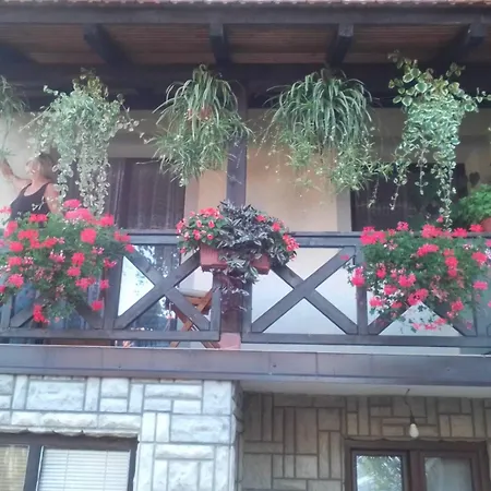 Privatni Smestaj Tesevic Zlatibor Exterior photo