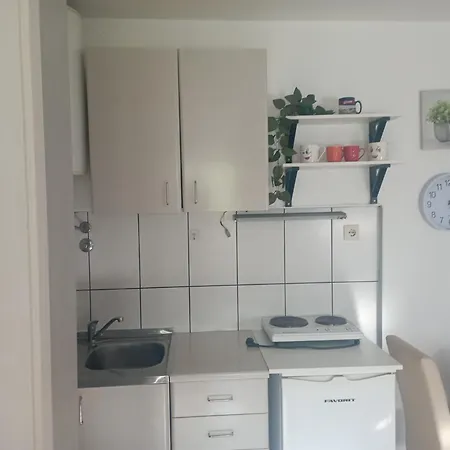 Privatni Smestaj Tesevic Zlatibor Room photo