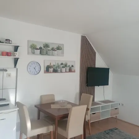 Privatni Smestaj Tesevic Zlatibor Room photo