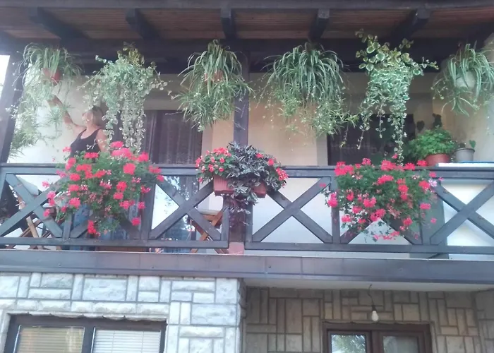 Privatni Smestaj Tesevic