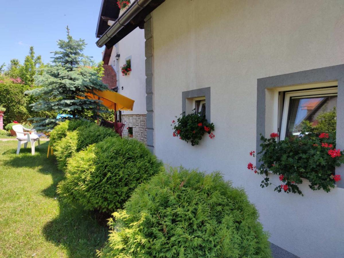 Apartment Privatni Smestaj Tesevic Zlatibor