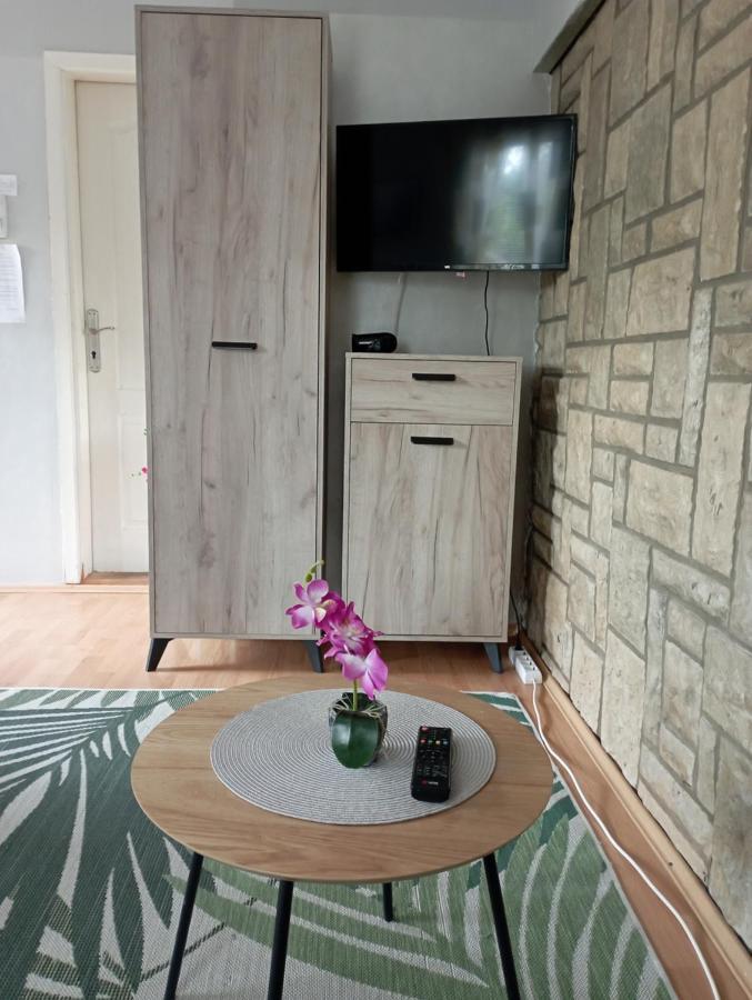 Privatni Smestaj Tesevic Apartment