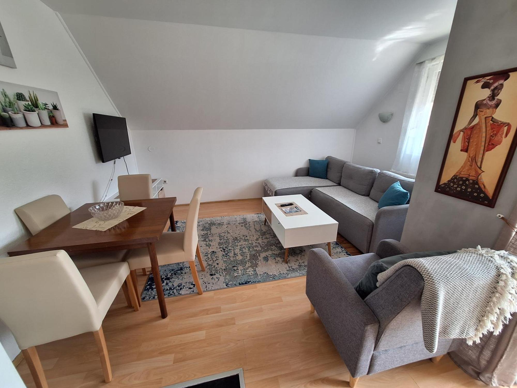 Apartment Privatni Smestaj Tesevic *