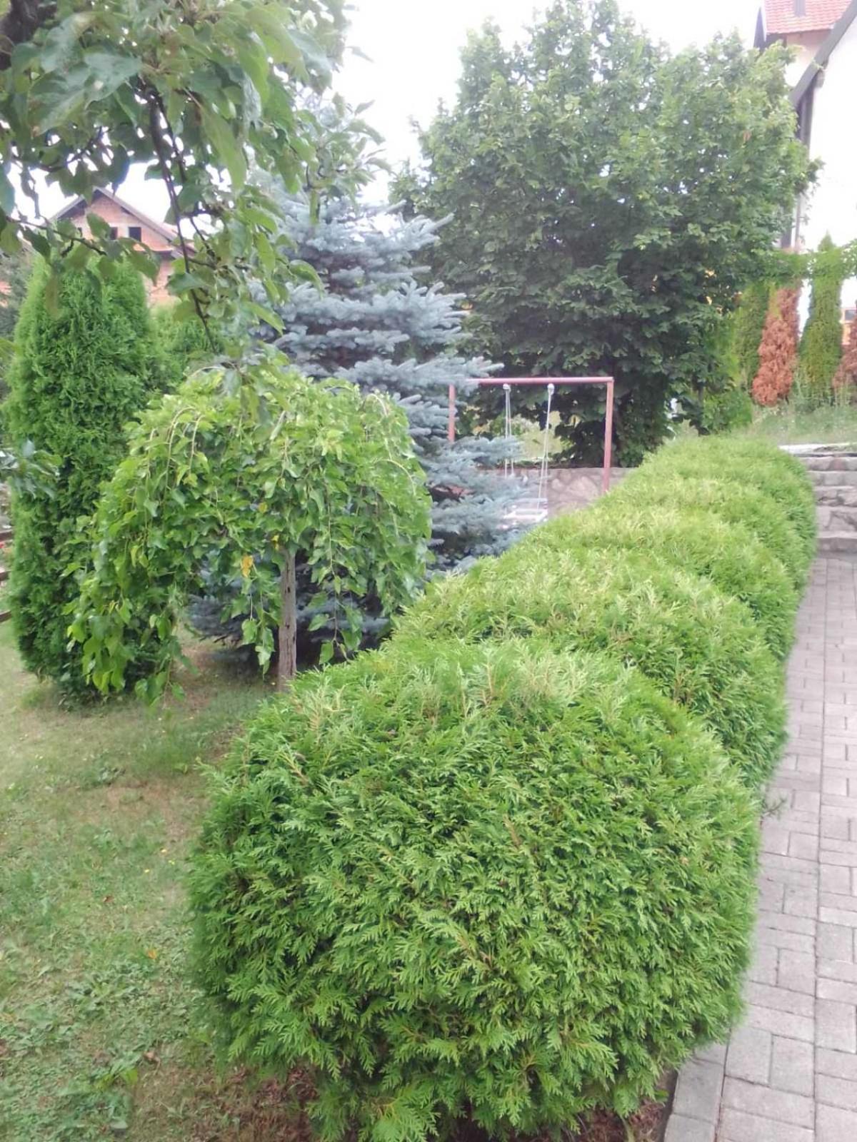 Apartment Privatni Smestaj Tesevic