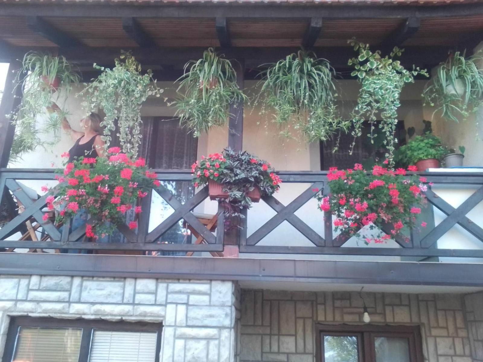 Privatni Smestaj Tesevic Apartment *