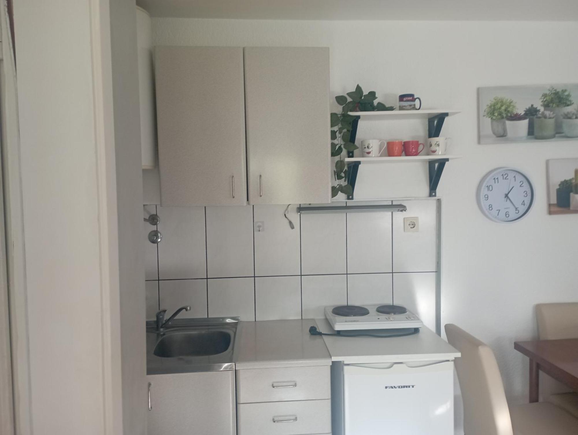 Privatni Smestaj Tesevic Apartment *