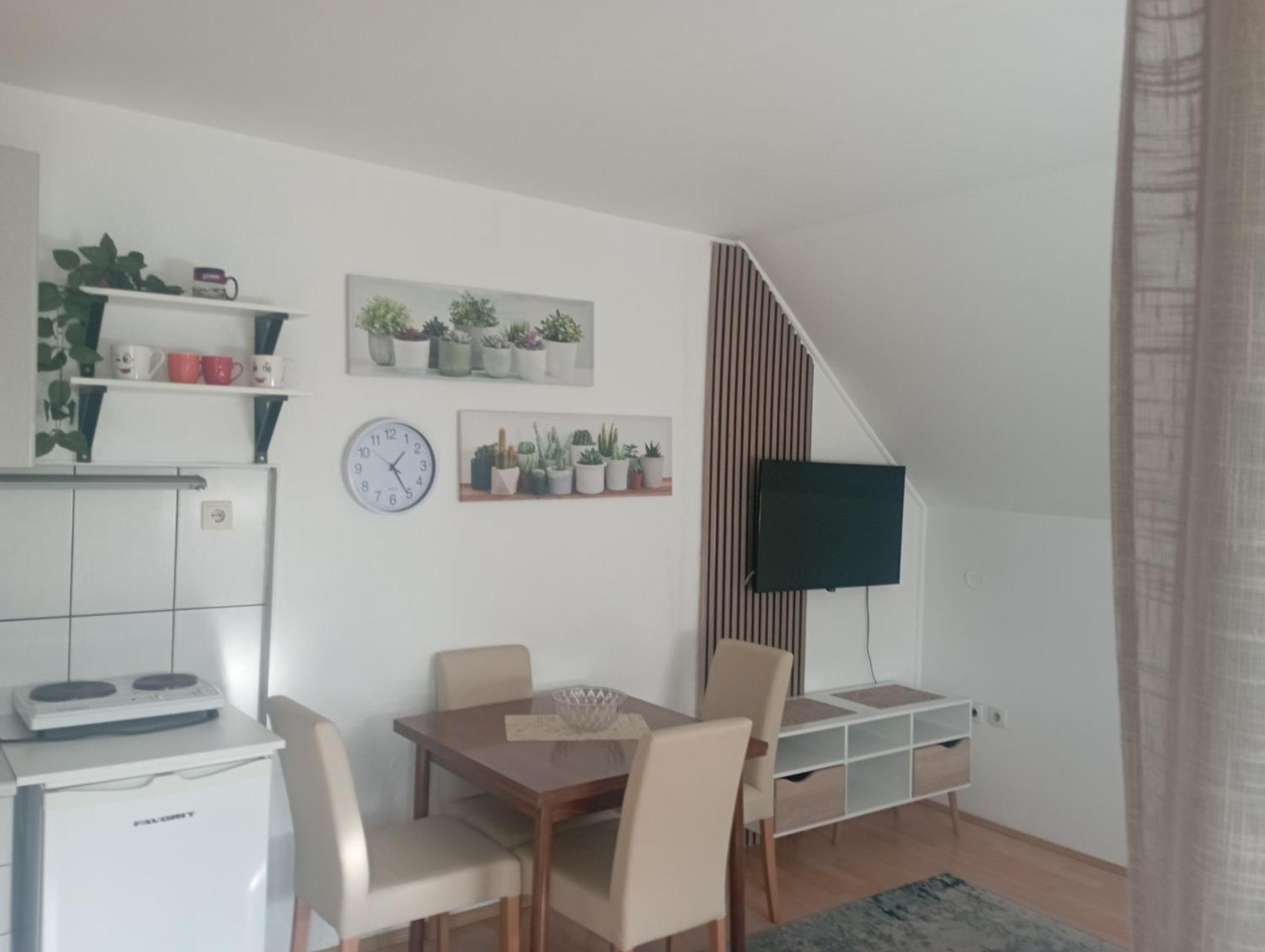 Apartment Privatni Smestaj Tesevic *